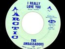 The Ambassadors 