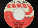 Psych 45 - Kenny Wayne & the Kamotions - How Should I Feel - Candy - mp3