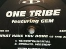 ONE TRIBE - WHAT HAVE YOU DONE 12