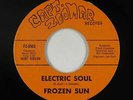 Psych Funk Fuzz 45 - Frozen Sun - Electric Soul - Capt. Zoomar - VG+ mp3