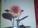 12 inch Vinyl Techno Trance Classics Superstition L.S.G Oliver Lieb / 40005