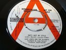Gary Lewis & The Playboys - She's Just My Style - 7