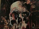 slayer south of heaven Vinyl White Cooy Rare