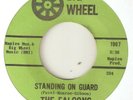 THE FALCONS Standing On Guard I Cant Help It BIG WHEEL NORTHERN SOUL USA 45