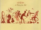 GENESIS 