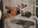 The Beatles Silver Lining Vinyl 1979 Import MM-08