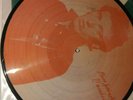 Bruce Springsteen -Nassau(picture disc)