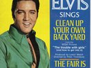 Elvis Presley 45  