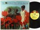 Marvelettes - In Full Bloom LP - Tamla DG VG++