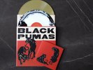 Black Pumas ?Deluxe Edition,vinyl LP+7 '45 RPM Spotify Fan's First