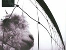 PEARL JAM Vs. LP Remastered 180 gr. (2016) NUOVO .cp