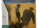 The Flaming Lips The Soft Bulletin VMP Lenticular 2-LP Vinyl Me Please New