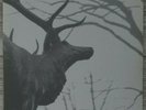 Agalloch – The Mantle 2x LP Clear (Grau)- Alcest- Wolves in the Throne Room- Fen