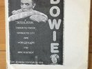 David Bowie A Tasteful Display Rare BLACK vinyl LP