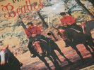 THE BEATLES:DANS LEURS 14 PLUS GRANDS SUCCÈS.1LP.PICTURE DISC.THE HORSES.ODEON.M