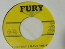 Elmore James-Up Jumped Elmore b/w Everyday I Have The Blues-Fury#2000-blues45rpm