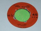 ANIBAL VELAZQUE PIANO Y TIMBA HEAVY BEAT MONSTER COLOMBIA ACORDEON PIANO CUMBIA