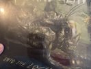 Maxhine Head Unto The Locust Double Vinyl With Fourth Side Got Etching Rare