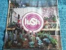 Lush ?– Lovelife - LP Record UK 1996 Limited Edition, Clear Vinyl NM