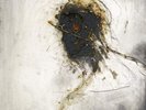 Peter Gabriel, Passion, Limited Edition Numbered (3 x 180g Vinyl)