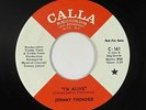 Funk Psych 45 - Johnny Thunder - I'm Alive - Calla - mp3