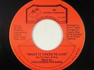 Modern Soul 45 - Chosen Few Band - What It Takes To Live - BR - NM mp3