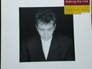 Peter Gabriel ?/ Shaking The Tree UK 1990 PGTV 6 Excellent LP vinyl