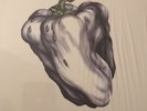 Ween - White Pepper VINYL RECORD White 180g LP Used Plain