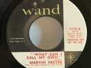 Marvin Preyer What Can I Call My Own Promo 45 Northern Soul-Wand