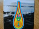 BJORK Voltaic -  LP VINYL Nonesuch records heavyweight 200gr 