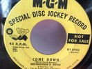 BEETHOVEN'S FIFTH 45 Come Down The Last Thing On My Mind MGM Rec '67 PROMO Hear