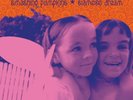 The Smashing Pumpkins Siamese Dream - Remastered Vinyl Double LP (2011) - VG