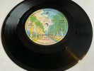 *LEROY HUTSON* *ALL BECAUSE OF YOU* *WB* *NORTHERN SOUL* VINYL 45 RECORD  #443