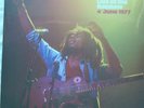 Bob Marley & The Wailers: Live at the Rainbow 1977, 2 LP, Vinile, record, NUOVO