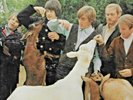BEACH BOYS  on LP 
