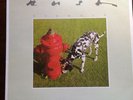Rush.  Signals. Uk 1st Press.