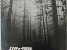 The Cure - A Forest 12