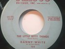 R&B 45 RPM, DANNY WHITE, KISS TOMORROW GOODBYE / THE LITTLE BITTY THINGS