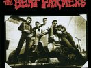 Beat Farmers LIVE AT THE SPRING VALLEY INN 1983 Limited RSD 2020 New Vinyl 2 LP