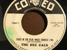 The Dee Cals Stars In The Blue What Should I Do / a Wonderful Day 45 VG+ Doo Wop