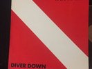 1982 Vintage Vinyl VAN HALEN Record DIVER DOWN David Lee Roth Eddie Van Halen