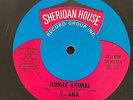 Boogie 12