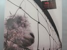 New/Sealed Pearl Jam ?– Vs. LP 180g Vinyl, Remastered