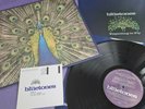 The Bluetones Expecting to fly UK original vinyl LP 1st press 1996 Slight Return