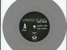 Cathedral Of Tears 1983 Demo Gray Colored 7
