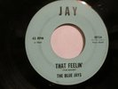 Rare Northern Soul 45-The BLUE JAYS-That Feelin'/Point Of View-1st Press-SVG-VG+