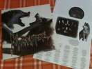 LP,Vinyl Record,12 disc:Moonspell-Wolfheart(Displeased Records)rotting christ