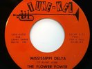 PSYCHE ROCK 45 RPM, THE FLOWER POWER, BYE BYE BABY / MISSISSIPPI DELTA
