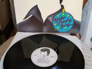 Spider Murphy Gang Rock'n'Roll  Vinyl LP  TOPP 19788 von 1978 near mint