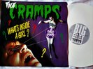 THE CRAMPS What's Inside A Girl WHITE VINYL 12